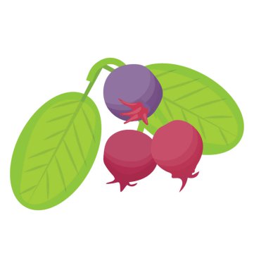 Siyah frenk üzümü denilen bir siyah renkli berry meyve 