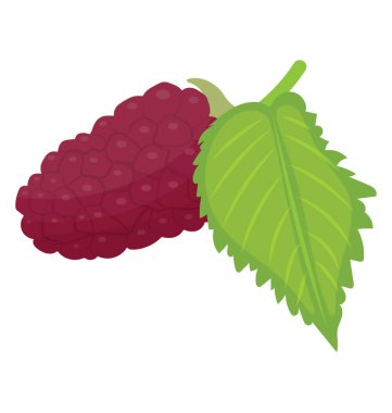 Kırmızı dut grup ekşi tat yaprakları ile 