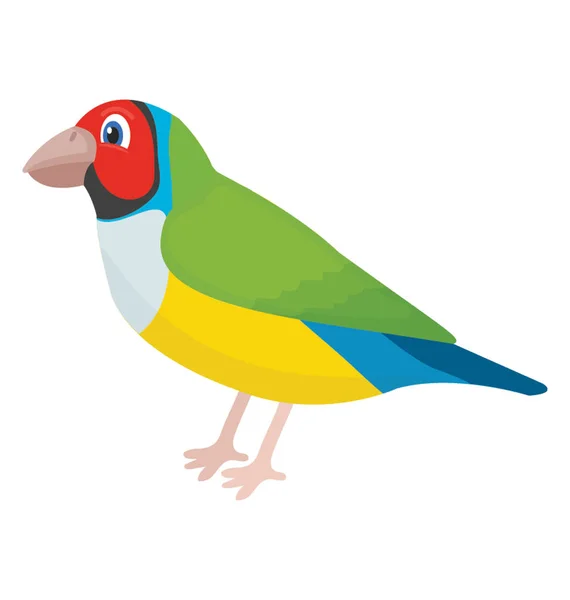 Ptak Wielobarwnych Piór Dziób Papugi Funkcyjny — Wektor stockowy