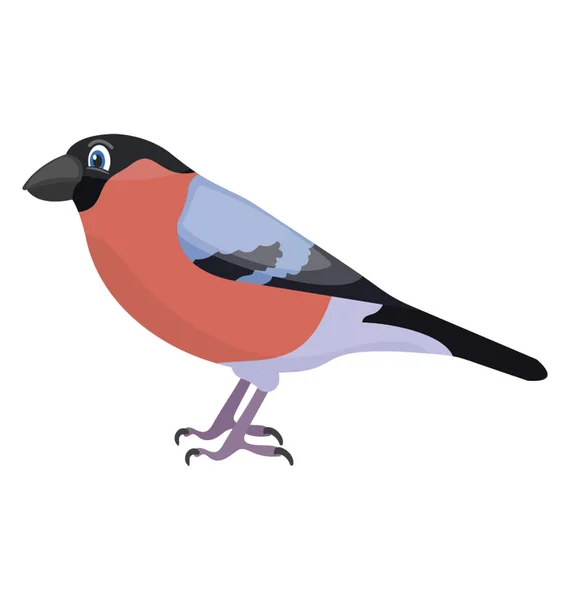 Pequeño Gorrión Como Pájaro Diferentes Colores Que Representa Pinzón Casa — Vector de stock