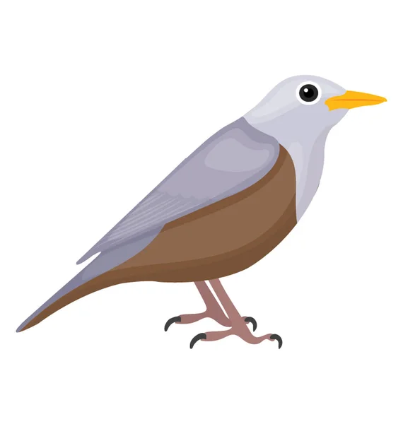 Sparrow Som Fågel Brun Och Vit Färg Som Skildrar Mockingbird — Stock vektor