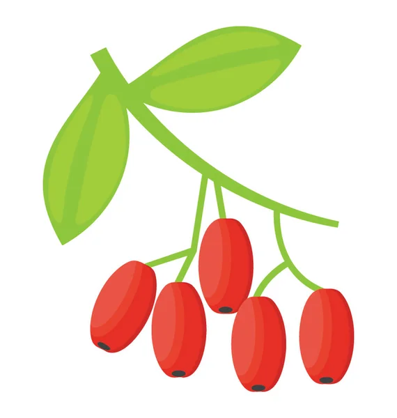 Fruta Oxicoco Ramo Cor Vermelha — Vetor de Stock