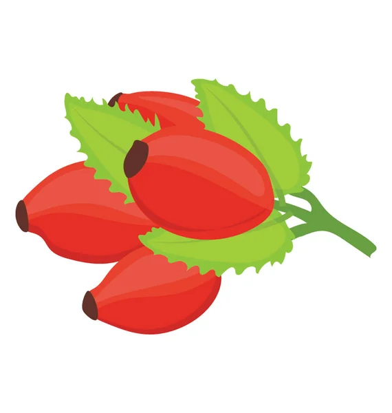 Fruits Canneberge Dans Bouquet Couleur Rouge — Image vectorielle