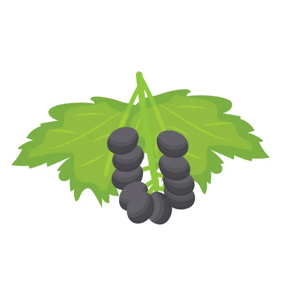 黒い色の果実の束と呼ばれる Chokeberries — ストックベクタ