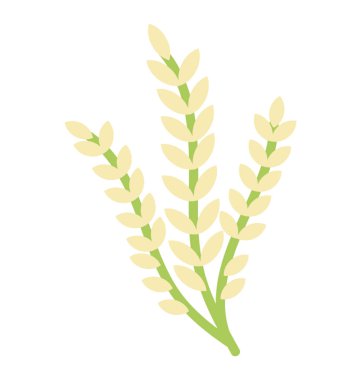 Yeşil arpa tasvir eden insanlar için çok önemli bir gıda 