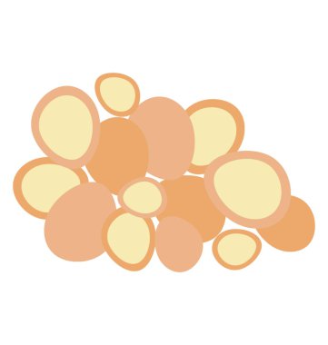 Macadamia fıstığı, sağlıklı gıda 