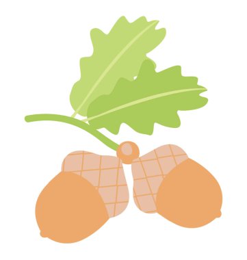 Bir kuru meyve adlandırma meşe palamudu, sağlıklı beslenme 