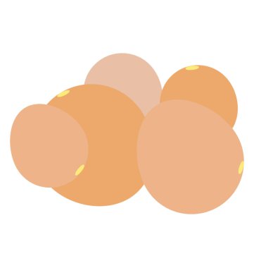 Macadamia fıstığı, sağlıklı gıda 