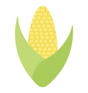 Küçük Mısır koçanı, karakterize, Mısır Mısır koçanı  