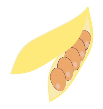 Yemek yemek için bir kabuk türü sebze kahverengi fasulye 