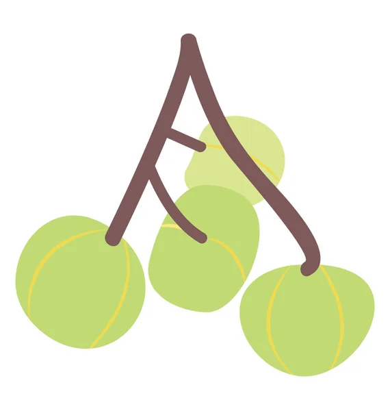 Nombramiento Frutas Cereza Verde Alimentos Nutricionistas — Vector de stock