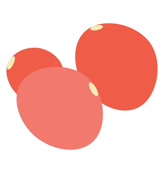 ザクロの種子を特徴付ける赤い色種 — ストックベクタ