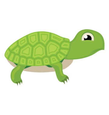 Kaplumbağa bilinen bir hayvan 