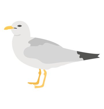 Sarı Gaga Pelikan resmeden ile güzel bir kuş 