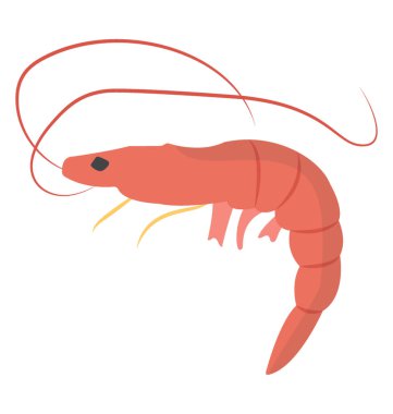 Bir deniz ürünleri kullanılan bir karides böcek 