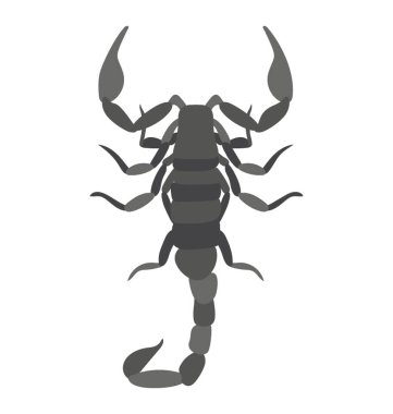 Akrep bilinen bir sokması böcek 