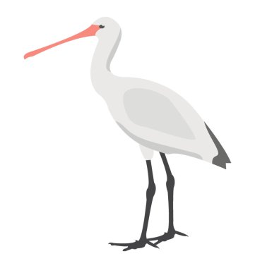 Vinç kuş, uzun bacaklı ve uzun boyunlu kuş