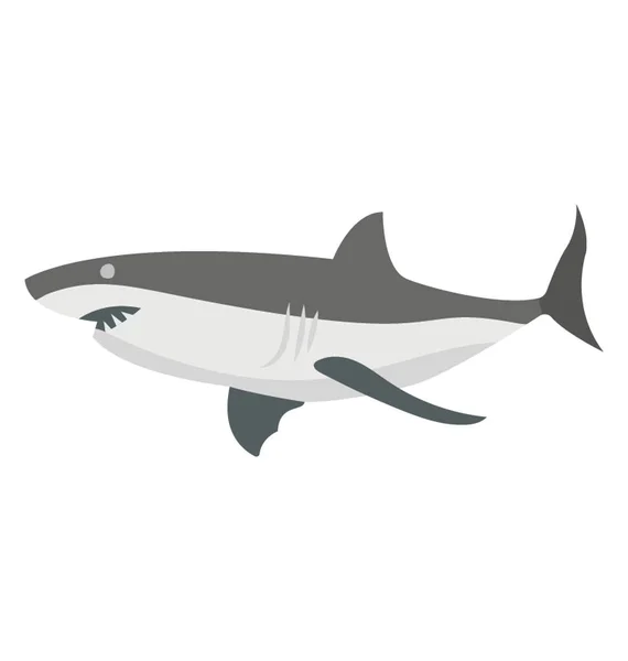 Poisson Sauvage Appelé Requin — Image vectorielle