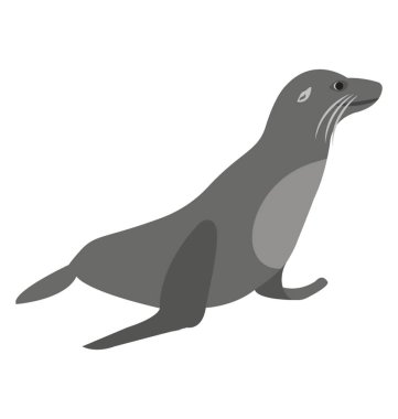 Bir deniz hayvanı ayaklı, deniz fili 