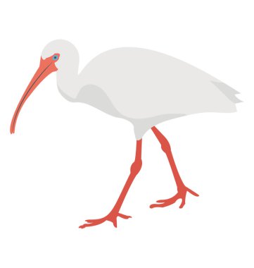 Vinç kuş, uzun bacaklı ve uzun boyunlu kuş