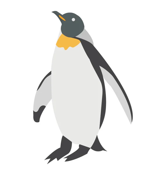 Tučňák Velký Nelétavý Mořský Pták Černými Horní Části — Stockový vektor