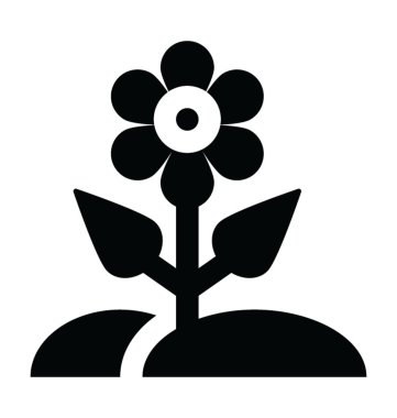 Bir ters görüntülemek güzel papatya çiçeği