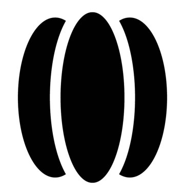 Pekan somun resmeden bir sağlıklı kurutulmuş meyve