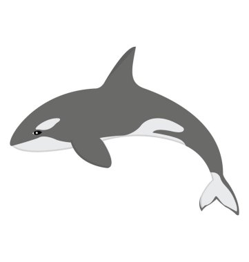 Balina veya mavi balina olarak bilinen büyük ve üzeri ağırlıklı vahşi deniz hayvan 