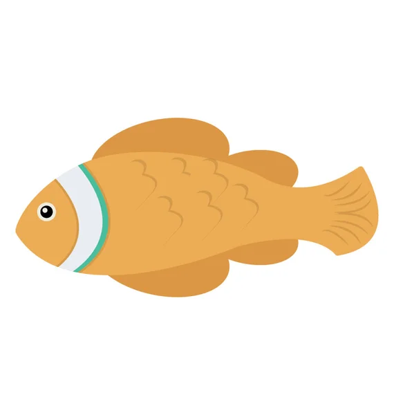 Aquatic Fish Tench Icon — Stock Vector