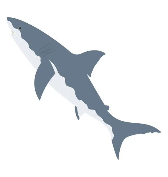 Animal Marino Salvaje Tiburón Icono Vector Plano — Vector de stock