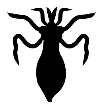 En hızlı yüzme hayvan deniz, deniz kalamar 