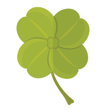 Yonca denilen geniş şekil yaprak 