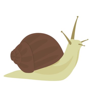 Salyangoz hayvan düz vektör simgesi tasarım 