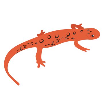 Agamidae kertenkele bir düz simgesi tasarım 