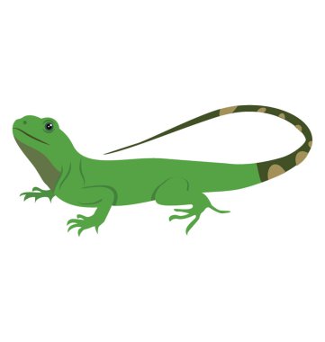 Gekkonidae düz simge vektör grafiği 