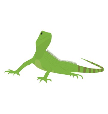 Beyaz arka plan üzerinde Squamata kertenkele bir düz simgesi tasarım 