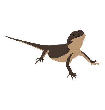 Beyaz arka plan üzerinde Squamata kertenkele bir düz simgesi tasarım 