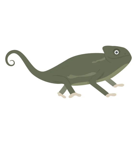 Stary Świat Typu Jaszczurka Kameleon Ikona Designu — Wektor stockowy