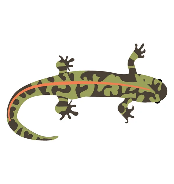 Skink Rettile Tipo Lucertola — Vettoriale Stock