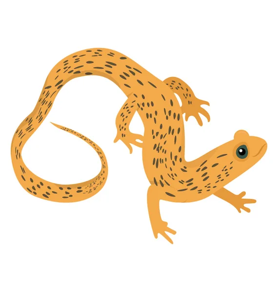 有鳞目蜥蜴在白色背景上的平面图标设计 — 图库矢量图片