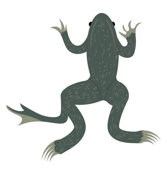 Gekkonidae Icône Plate Vectoriel Graphique — Image vectorielle