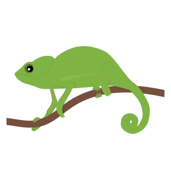 Viejo Mundo Tipo Lagarto Camaleón Icono Diseño — Vector de stock