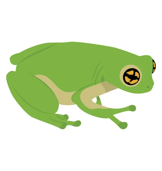 白色背景前的普通水蛙 — 图库矢量图片