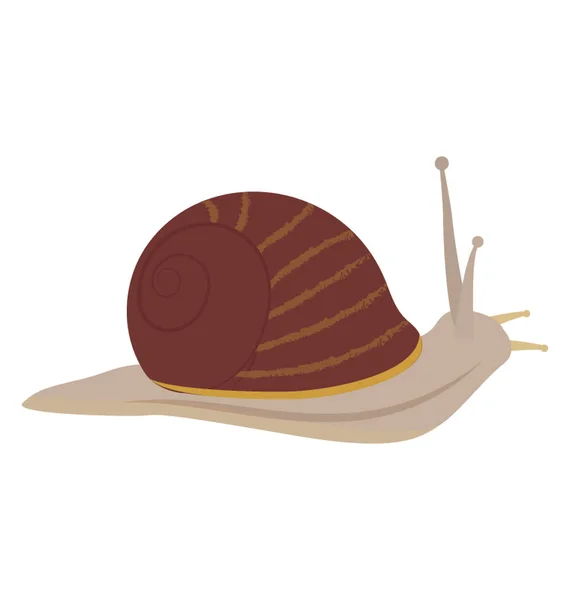 Snail Animal Flat Vector Icon Design — Stock Vector