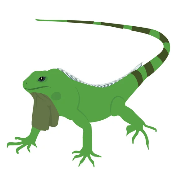 Dessin Icône Plate Lézard Agamidae — Image vectorielle