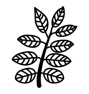 Yaprakları şube vektör satırı simgesi