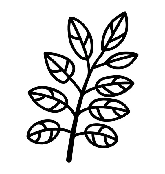 Leaves Branch Vector Line Icon — Stock Vector