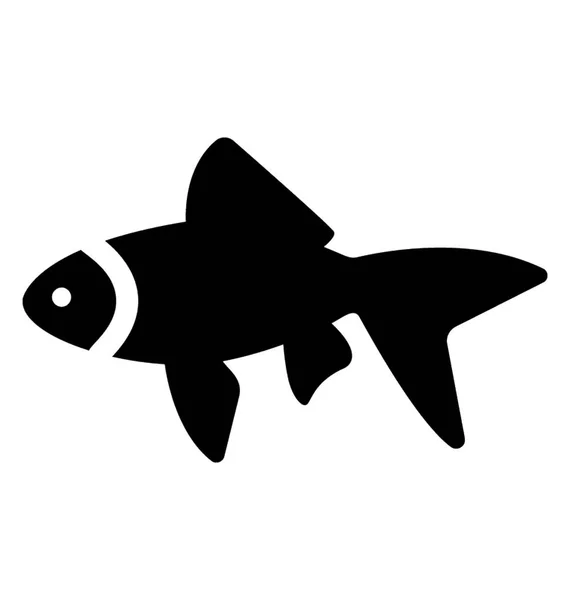 Peixinho Bonito Usado Como Peixe Estimação —  Vetores de Stock