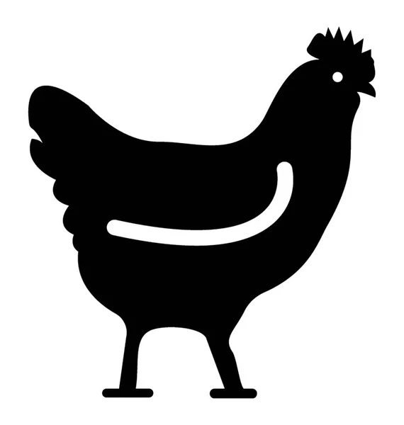 Uccello Domestico Gallina — Vettoriale Stock