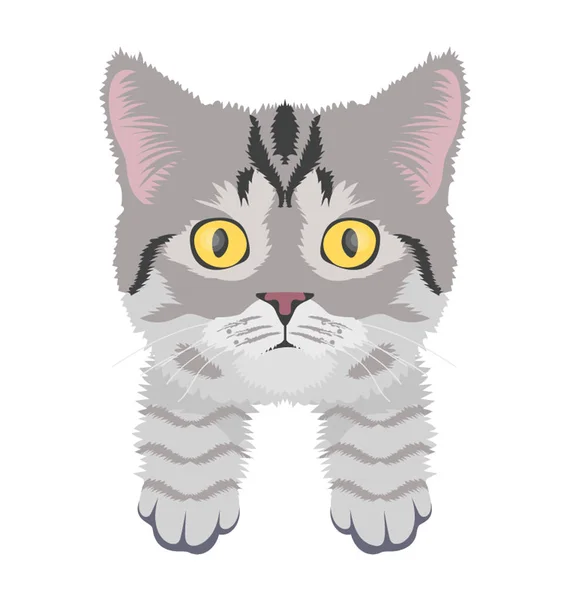 Cat Flat Colored Icon — Stock Vector